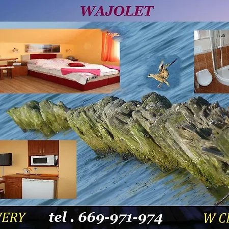 Wajolet Kwatera prywatna Władysławowo