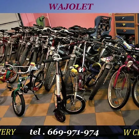 Wajolet * Władysławowo