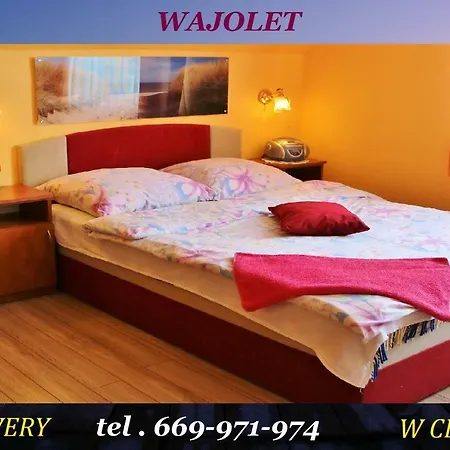 Wajolet Władysławowo